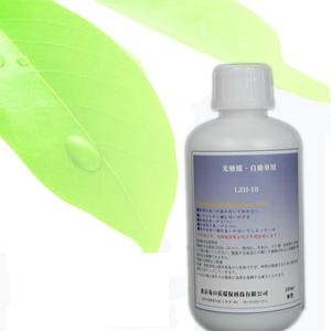 烟台汽车专用型-甲醛异味清除